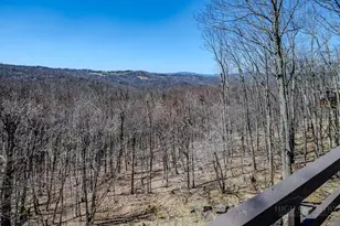 517 Pine Ridge Rd, Beech Mountain, NC 28604 - Photo 26