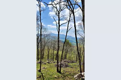 Lot 3 Chappell Farm Road, Banner Elk, NC 28604 - Photo 10