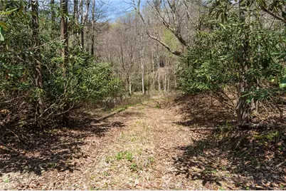 157 Oso Drive, Vilas, NC 28692 - Photo 2