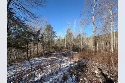 157 Oso Drive, Vilas, NC 28692 - Photo 24