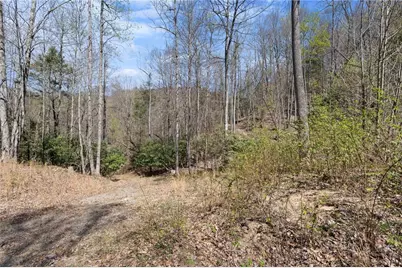 157 Oso Drive, Vilas, NC 28692 - Photo 4