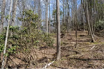 157 Oso Drive, Vilas, NC 28692 - Photo 8