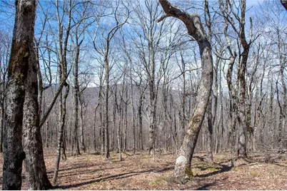 Lot #100 Elk Creek Mountain Parkway Parkway, Todd, NC 28684 - Photo 1