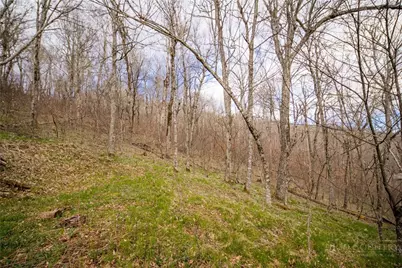 Tbd (Lot 4) N Chappell Road, Banner Elk, NC 28604 - Photo 10