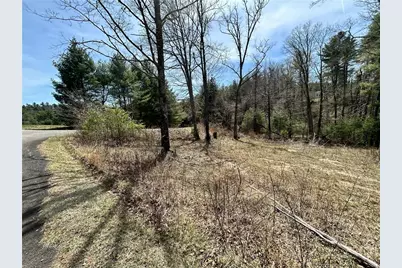 Tbd/Lots 4 and 5 Wellington Court, Glade Valley, NC 28627 - Photo 4