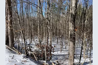 Tbd (13 & 14) Timberwilde Drive, Laurel Springs, NC 28644 - Photo 12