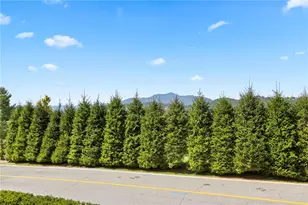 107 Mayview Manor Ct, Blowing Rock, NC 28605 - Photo 12