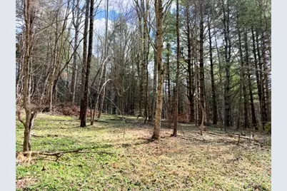 Tbd (0.96 Acre) Crestview Drive West, Creston, NC 28615 - Photo 8