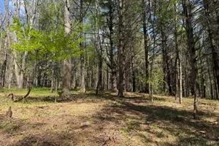 Tbd (0 96 Acre) Crestview Dr W, Creston, NC 28615 - Photo 1