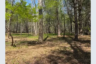 Tbd (0.96 Acre) Crestview Drive West, Creston, NC 28615 - Photo 4