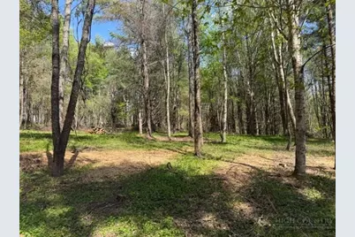 Tbd (0.96 Acre) Crestview Drive West, Creston, NC 28615 - Photo 6