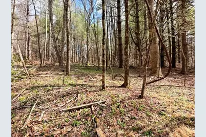 Tbd (0.96 Acre) Crestview Drive West, Creston, NC 28615 - Photo 10