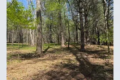 Tbd (0.96 Acre) Crestview Drive West, Creston, NC 28615 - Photo 2