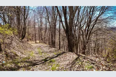 7277 Beech Mountain Road, Elk Park, NC 28622 - Photo 4