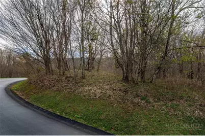 Lot H25 Buffalo Nvno, Zionville, NC 28698 - Photo 36