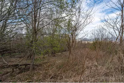 Lot H25 Buffalo Nvno, Zionville, NC 28698 - Photo 32