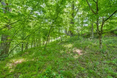 Lot 23/24 Cristina Lane, Vilas, NC 28692 - Photo 22