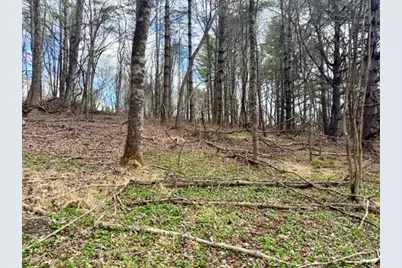 Tbd (1.014 Acre) Crestview Drive West, Creston, NC 28615 - Photo 4