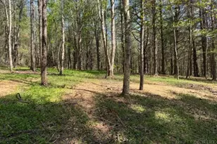 Tbd (1 014 Acre) Crestview Dr W, Creston, NC 28615 - Photo 1