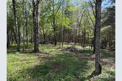 Tbd (0.834) Crestview Drive West, Creston, NC 28615 - Photo 4