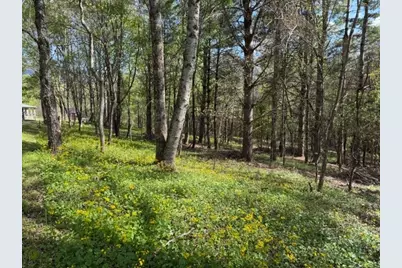 Tbd (1 Acre) Crestview Drive West, Creston, NC 28615 - Photo 1