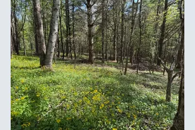 Tbd (1 Acre) Crestview Drive West, Creston, NC 28615 - Photo 16