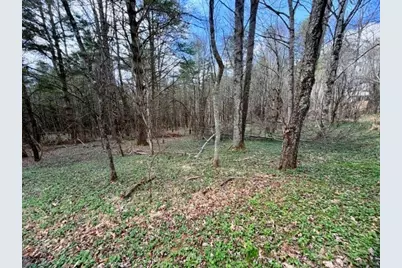 Tbd (1 Acre) Crestview Drive West, Creston, NC 28615 - Photo 10