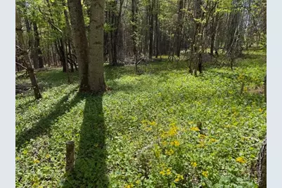 Tbd (1 Acre) Crestview Drive West, Creston, NC 28615 - Photo 4