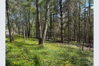 Tbd (1 Acre) Crestview Drive West, Creston, NC 28615 - Photo 2