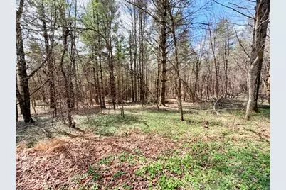 Tbd (1 Acre) Crestview Drive West, Creston, NC 28615 - Photo 6