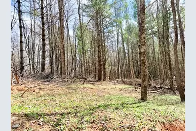 Tbd (1 Acre) Crestview Drive West, Creston, NC 28615 - Photo 8