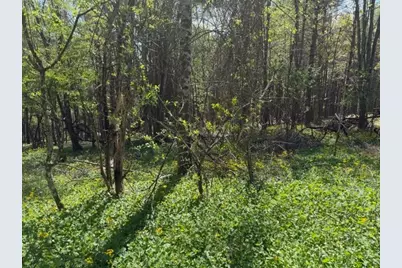 Tbd (1 Acre) Crestview Drive West, Creston, NC 28615 - Photo 14