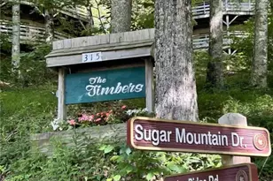 315 Timber Ridge Rd, Sugar Mountain, NC 28604 - Photo 22