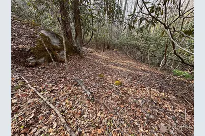 2438 Kellersville Road, Banner Elk, NC 28604 - Photo 36