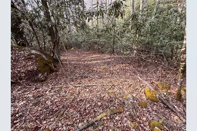2438 Kellersville Road, Banner Elk, NC 28604 - Photo 38