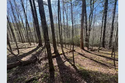 2438 Kellersville Road, Banner Elk, NC 28604 - Photo 10