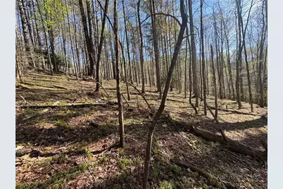 2438 Kellersville Road, Banner Elk, NC 28604 - Photo 12