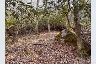 2438 Kellersville Road, Banner Elk, NC 28604 - Photo 40
