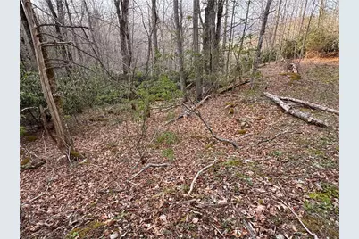 2438 Kellersville Road, Banner Elk, NC 28604 - Photo 28