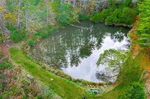 886 Jefferson Hwy, Mouth of Wilson, VA 24363 - Photo 44