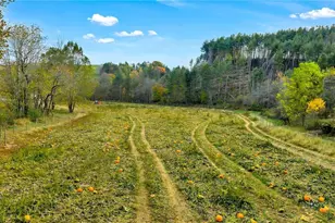 886 Jefferson Hwy, Mouth of Wilson, VA 24363 - Photo 38