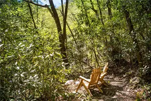 1236 Ninebark Rd, Boone, NC 28607 - Photo 44