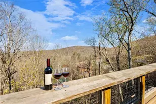 228 Birchwood Ln, Beech Mountain, NC 28604 - Photo 4