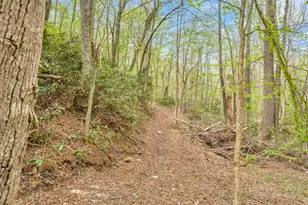 799 Milton Brown Heirs Rd, Boone, NC 28607 - Photo 44