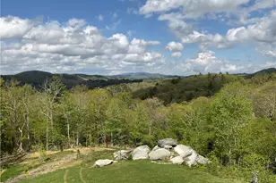 799 Milton Brown Heirs Rd, Boone, NC 28607 - Photo 46