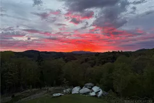 799 Milton Brown Heirs Rd, Boone, NC 28607 - Photo 2