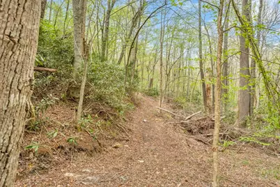 799 Milton Brown Heirs Road, Boone, NC 28607 - Photo 44