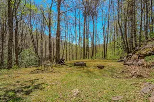426 Cook Town Rd, Bakersville, NC 28705 - Photo 44