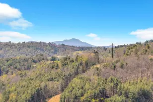 672 Cedar Trail, Fleetwood, NC 28626 - Photo 48