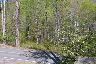 2230 Old Hwy 16 Hwy, Jefferson, NC 28640 - Photo 28